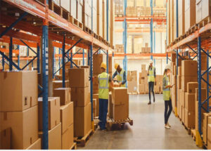 Untitled 1 Recovered